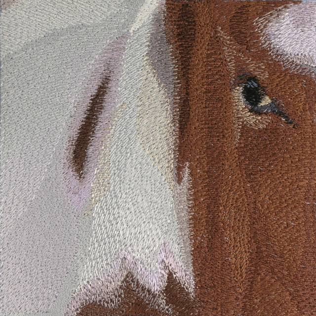 BFC0572 Window-Horse II