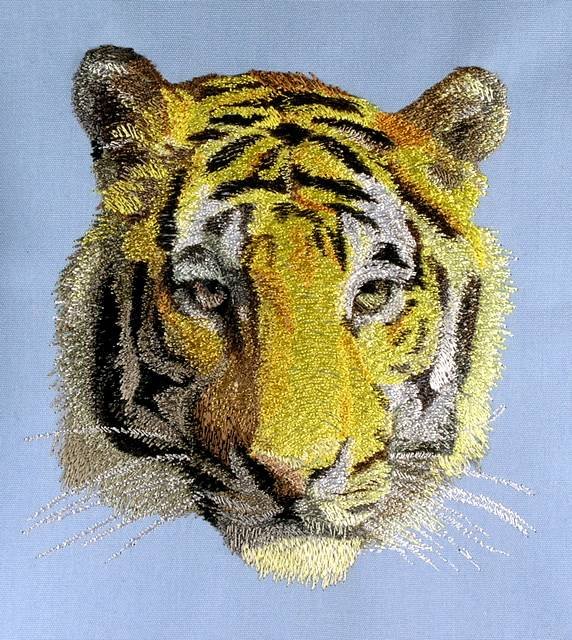 BFC0584 The Big Cats