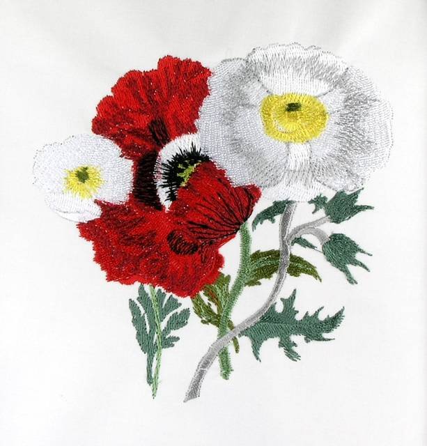 BFC0595 My Lady's Flowers
