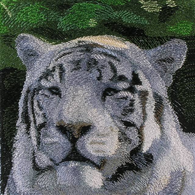 BFC0596 Window-A White Tiger