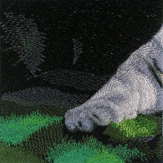 BFC0596 Window-A White Tiger