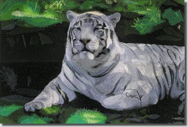 BFC0596 Window-A White Tiger