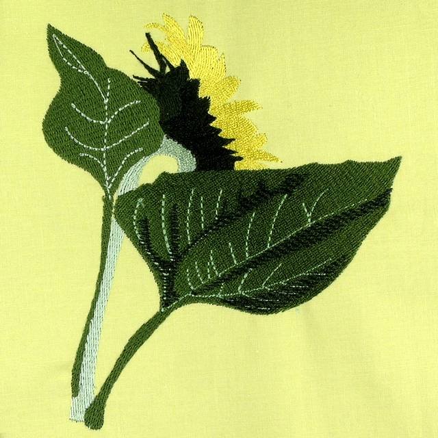 BFC0603 Sunflowers and Finches Designs