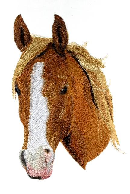 BFC0615 Portraits-Horses II