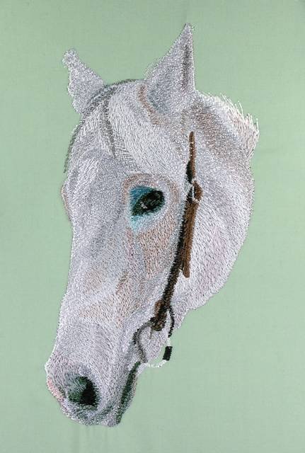 BFC0615 Portraits-Horses II