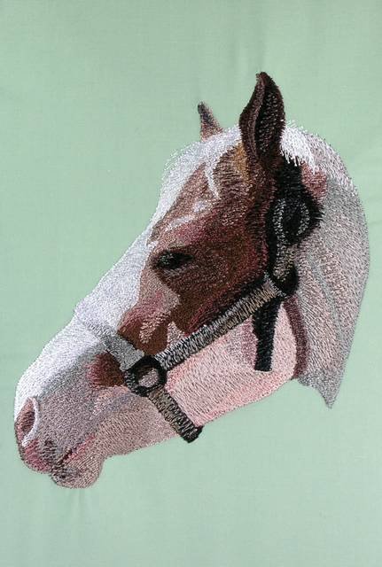 BFC0615 Portraits-Horses II