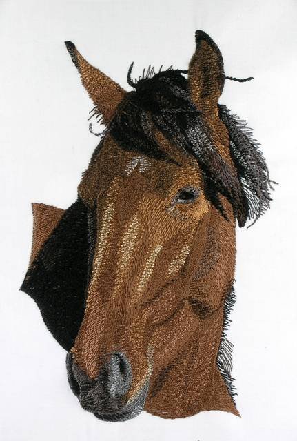 BFC0615 Portraits-Horses II