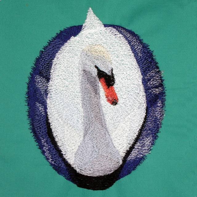BFC0620 Swans