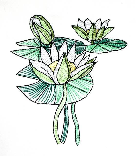 BFC0621 Color Sketches II