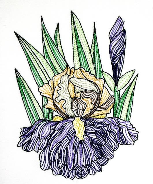 BFC0621 Color Sketches ii 04