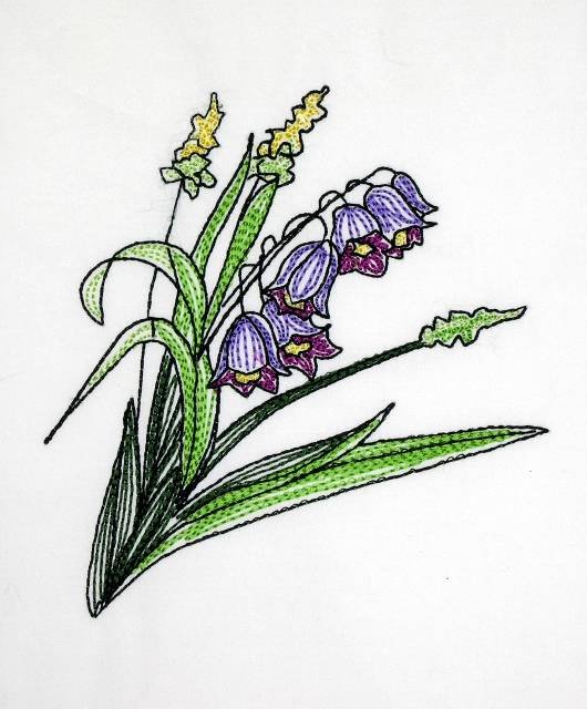 BFC0621 Color Sketches ii 05
