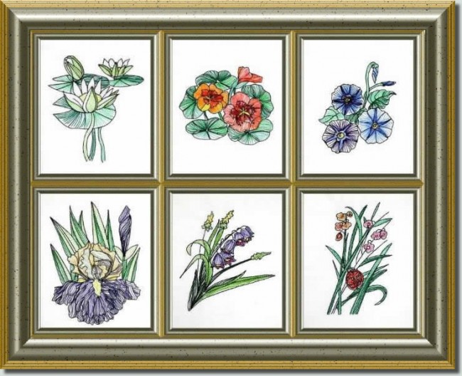 BFC0621 Color Sketches II