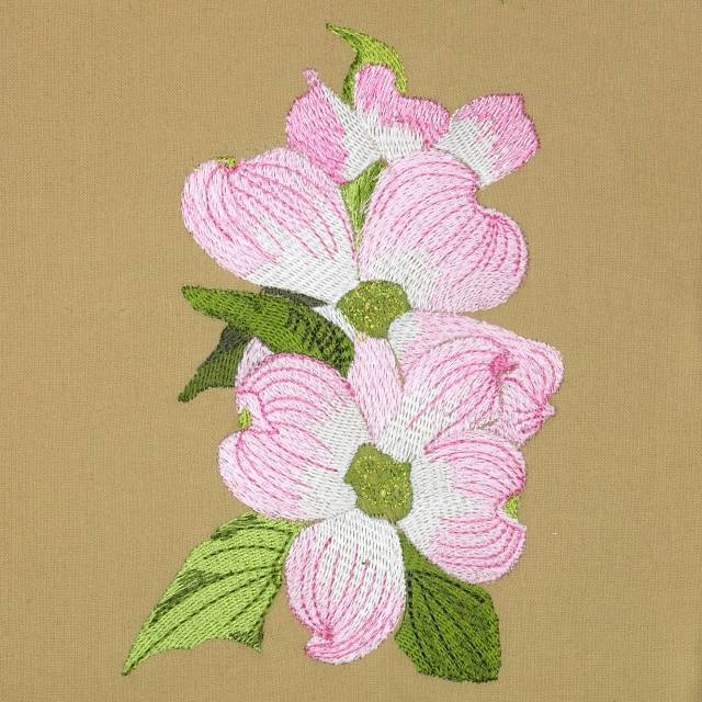 BFC0622 Shoulder Drapes - Dogwood