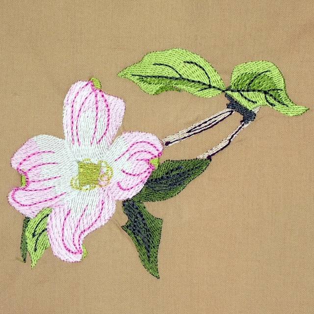 BFC0622 Shoulder Drapes - Dogwood