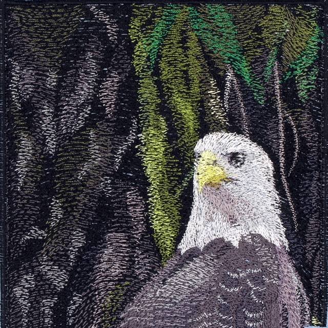 BFC0625  A Collage - Freedom