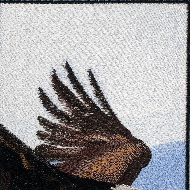 BFC0625  A Collage - Freedom