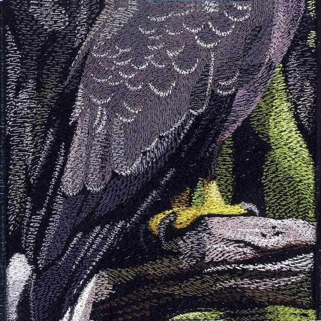 BFC0625  A Collage - Freedom