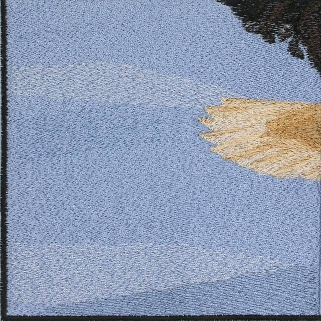 BFC0625  A Collage - Freedom