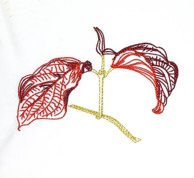 BFC0630 Color Sketches-Autumn Leaves