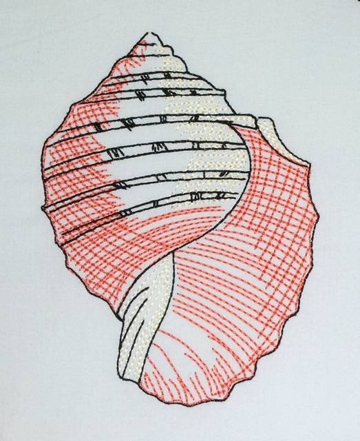 BFC0632 Color Sketches-Shells