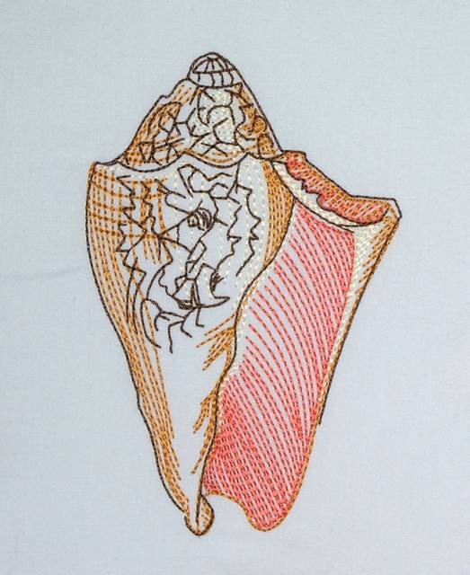 BFC0632 Color Sketches-Shells