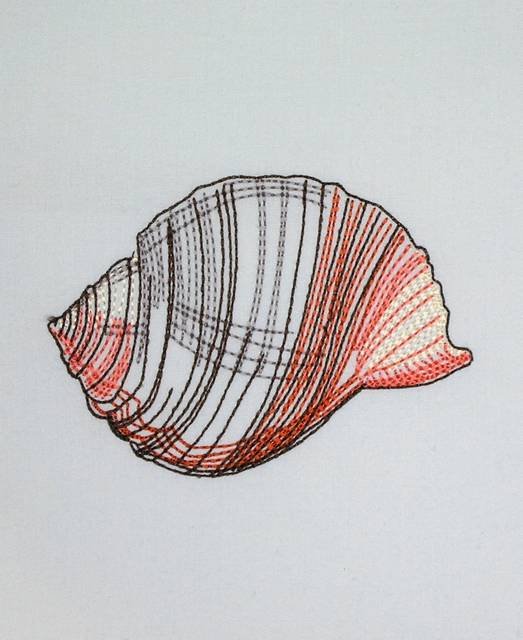 BFC0632 Color Sketches Shells 04