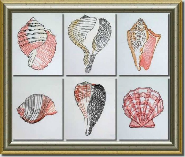 BFC0632 Color Sketches-Shells