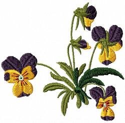 RMG634 Pansy Set
