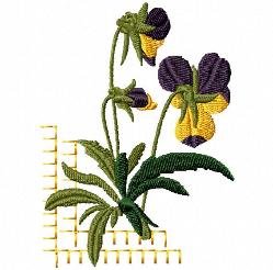 RMG634 Pansy Set