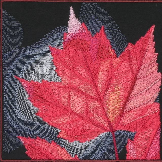 BFC0636 An Autumn Collage