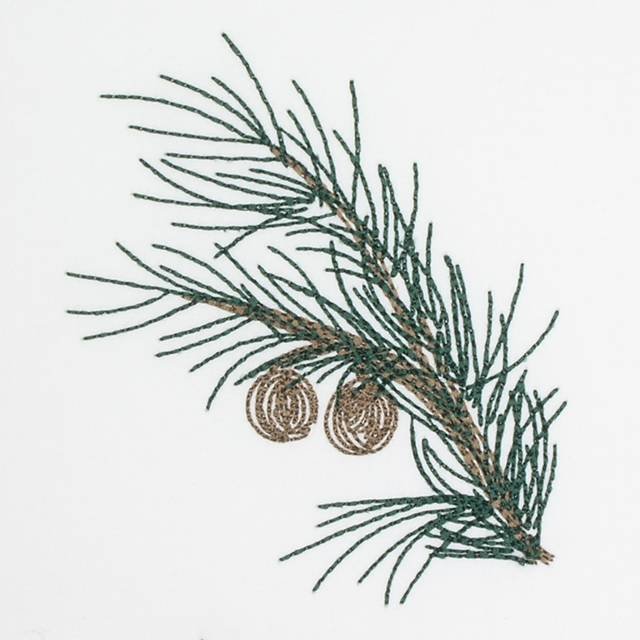 BFC0642 Color Sketches-Evergreens