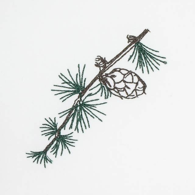 BFC0642 Color Sketches-Evergreens