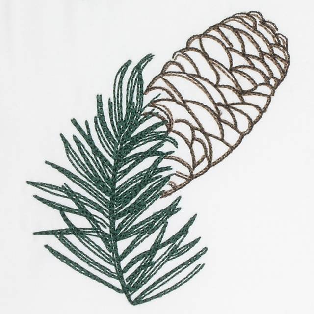 BFC0642 Color Sketches-Evergreens
