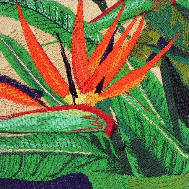 BFC0645 Window-Flamingo Paradise