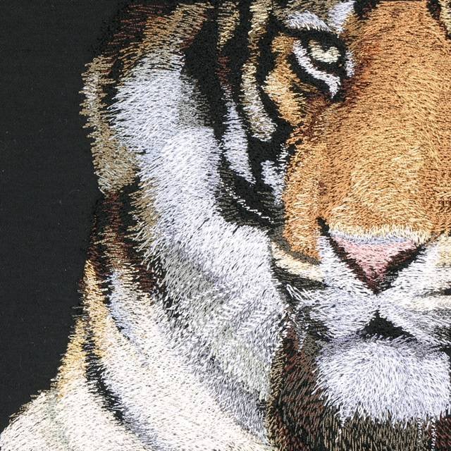 BFC0654 Window-Tiger II