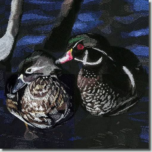 BFC0659 Ducks
