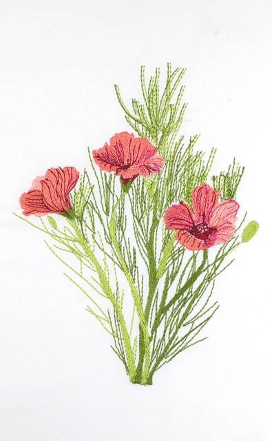 BFC0660 Botanical Prints