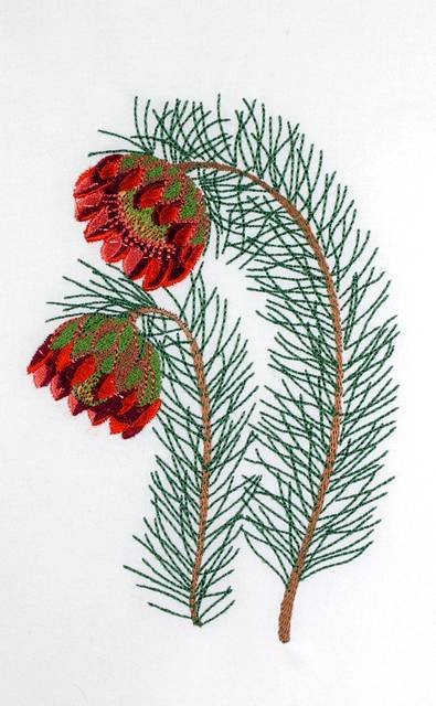 BFC0660 Botanical Prints