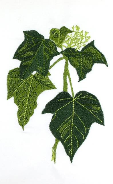 BFC0660 Botanical Prints