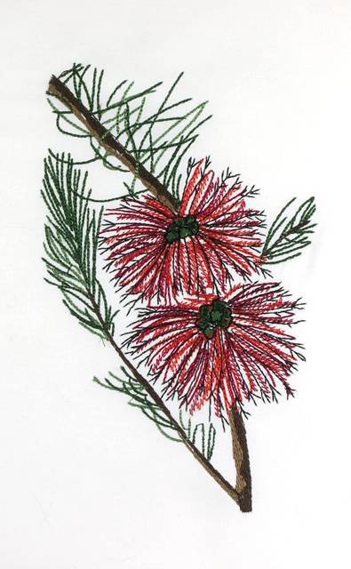 BFC0660 Botanical Prints
