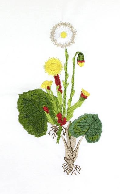 BFC0660 Botanical Prints
