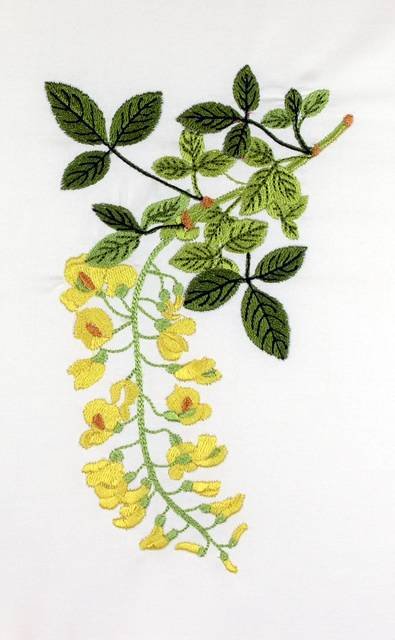 BFC0661 Botanical Prints II