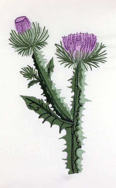 BFC0661 Botanical Prints II