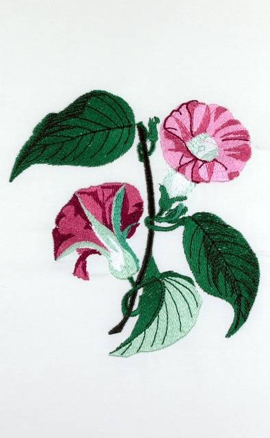 BFC0661 Botanical Prints II