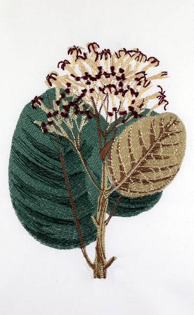 BFC0661 Botanical Prints II