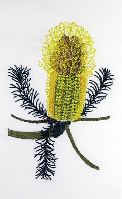 BFC0661 Botanical Prints II