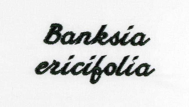 BFC0661 Botanical Prints II