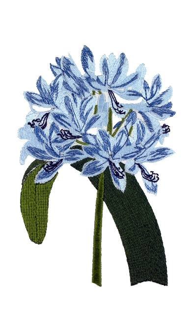 BFC0661 Botanical Prints II
