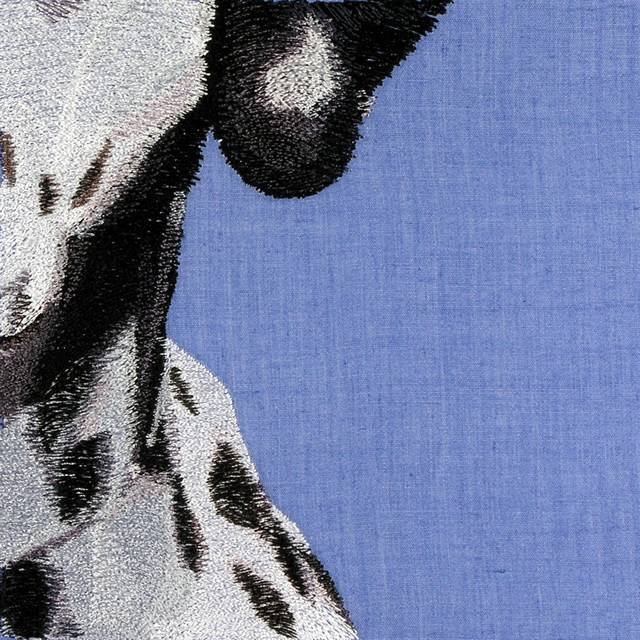 BFC0662 Window - A Dalmatian