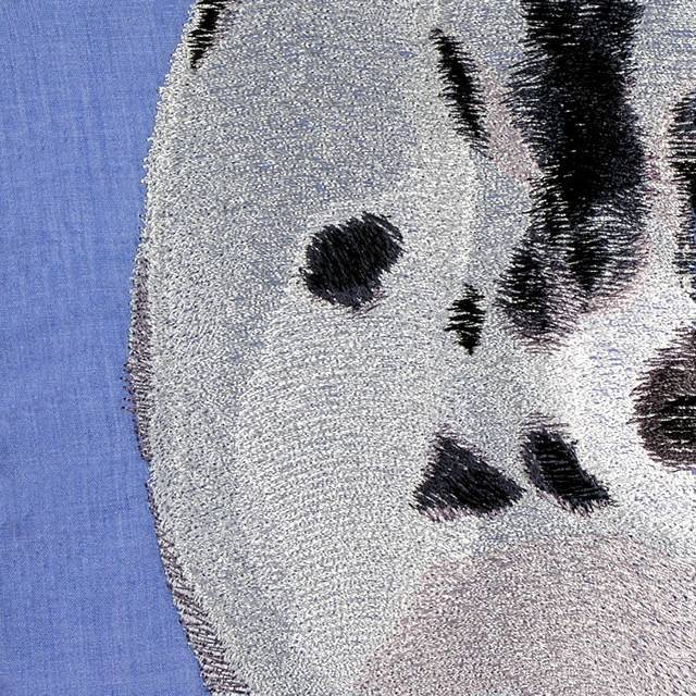 BFC0662 Window - A Dalmatian